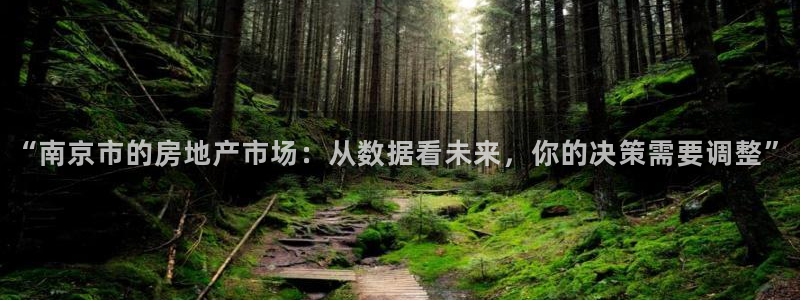 和记电讯官网澳门：“南京市的房地产市场：从数据看未来，你的决
