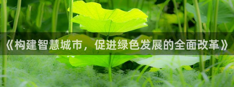 和记登录官网：《构建智慧城市，促进绿色发展的全面改革》