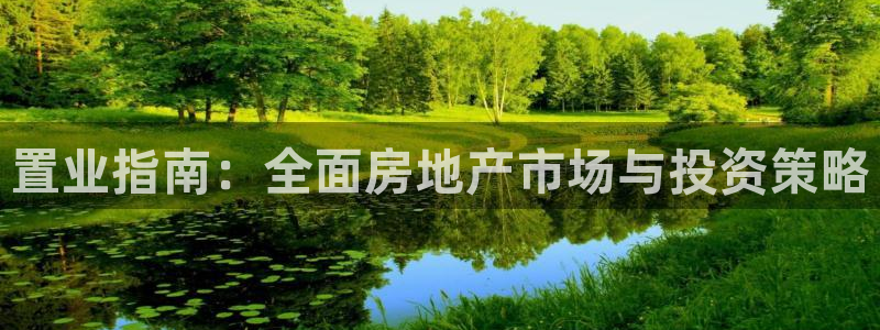 香港和记官网：置业指南：全面房地产市场与投资策略