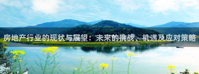 和记3卡官网是哪：房地产行业的现状与展望：未来的挑战、机遇及