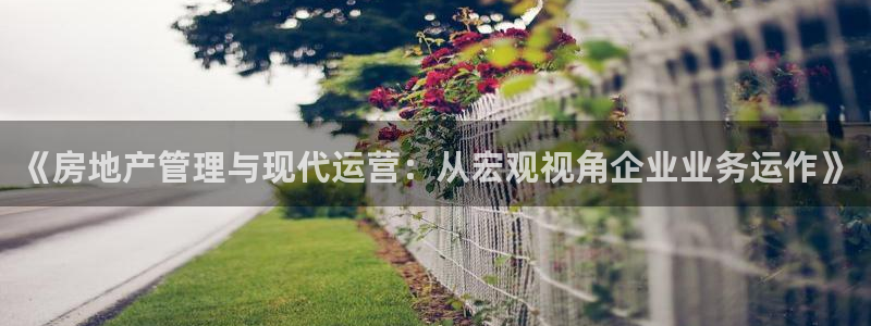 和记娱技精h88285官网