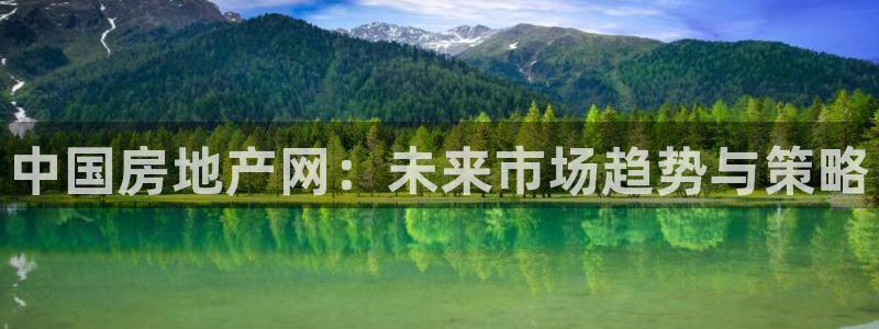 和木记手帕官网：中国房地产网：未来市场趋势与策略