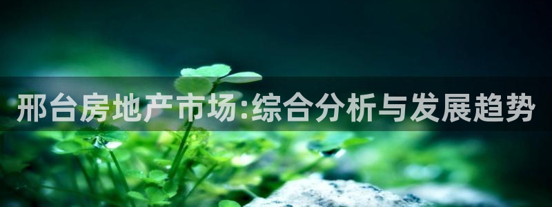 胡和记官网：邢台房地产市场:综合分析与发展趋势