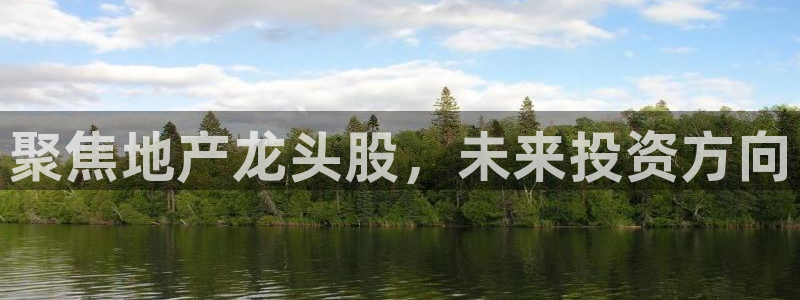 和记电讯官网澳门：聚焦地产龙头股，未来投资方向
