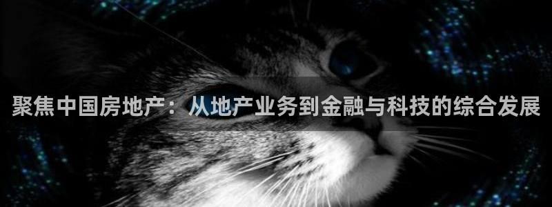 和记官网充值：聚焦中国房地产：从地产业务到金融与科技的综合发