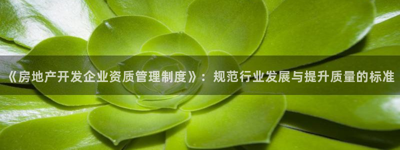 和帆记官网：《房地产开发企业资质管理制度》：规范行业发展与提