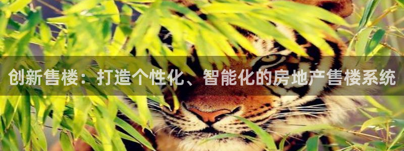 和记娱乐场所官网：创新售楼：打造个性化、智能化的房地产售楼系