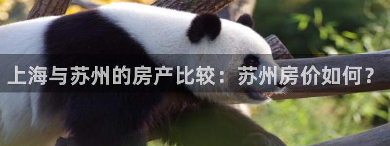 缅甸和记官网：上海与苏州的房产比较：苏州房价如何？