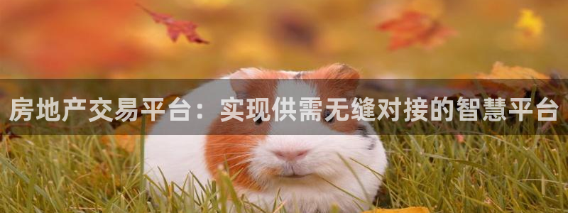 香港和记电讯公司官网