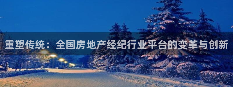 和记万佳官网：重塑传统：全国房地产经纪行业平台的变革与创新