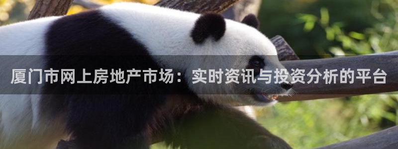 香港和记卡官网：厦门市网上房地产市场：实时资讯与投资分析的平