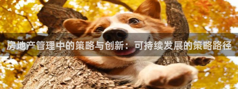 和记官网进入：房地产管理中的策略与创新：可持续发展的策略路径