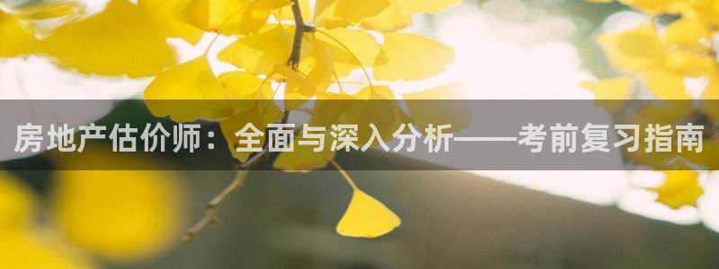 和记怡情赌博官网