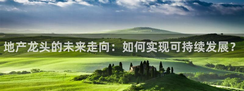 和记娱乐怡情博娱官网：地产龙头的未来走向：如何实现可持续发展