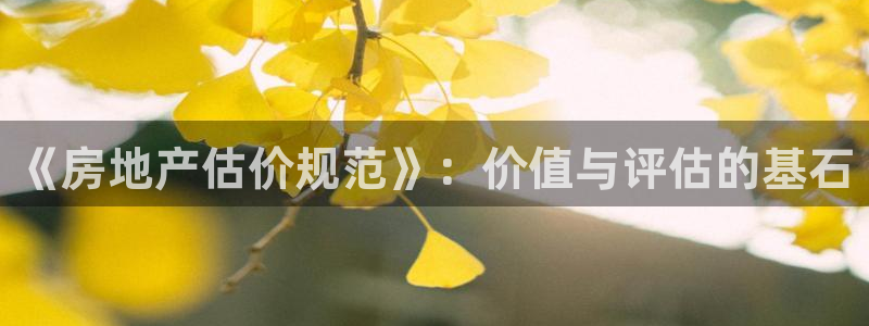 和记安徽快3官网开户：《房地产估价规范》：价值与评估的基石