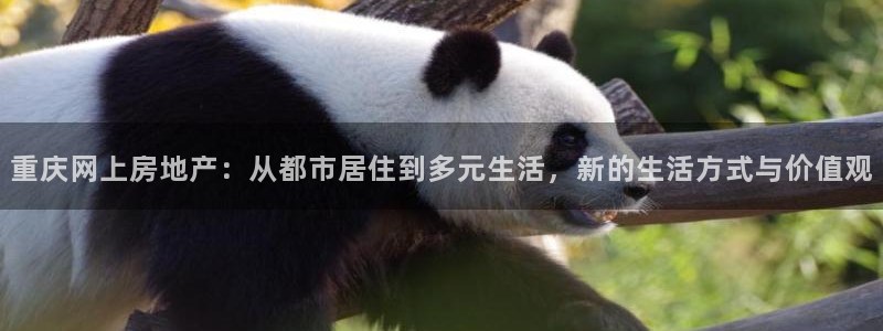 和记官网手机版：重庆网上房地产：从都市居住到多元生活，新的生