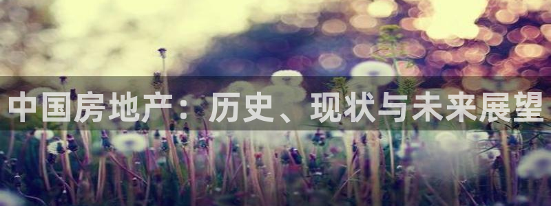 和记备用官网：中国房地产：历史、现状与未来展望