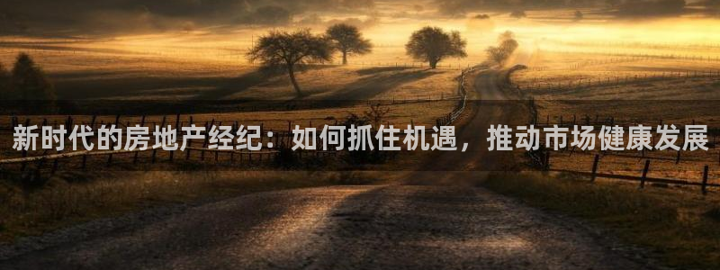 官网和记通讯：新时代的房地产经纪：如何抓住机遇，推动市场健康