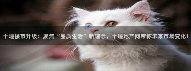 和记娱答疑h88285官网：十堰楼市升级：聚焦“品质生活”新