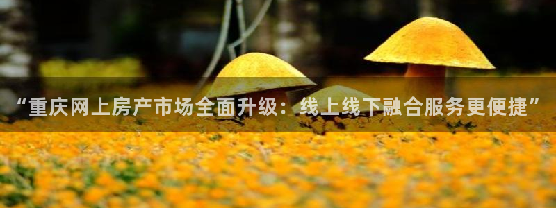 和记怡情官网电话