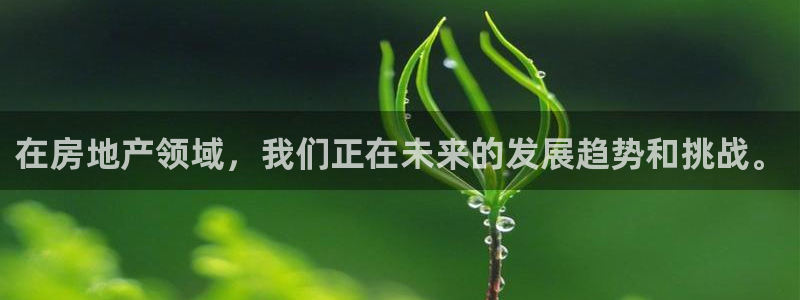 和记备用网官网开户：在房地产领域，我们正在未来的发展趋势和挑
