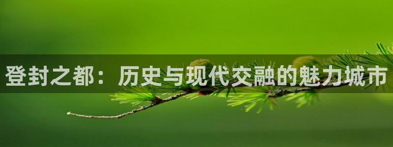 澳门和记官网：登封之都：历史与现代交融的魅力城市