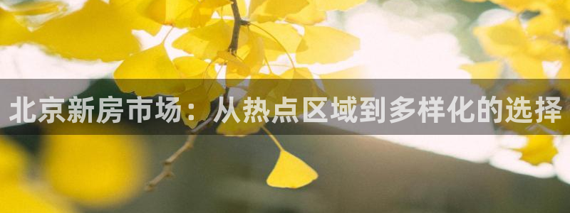 和记娱官网h88285怡情：北京新房市场：从热点区域到多样化