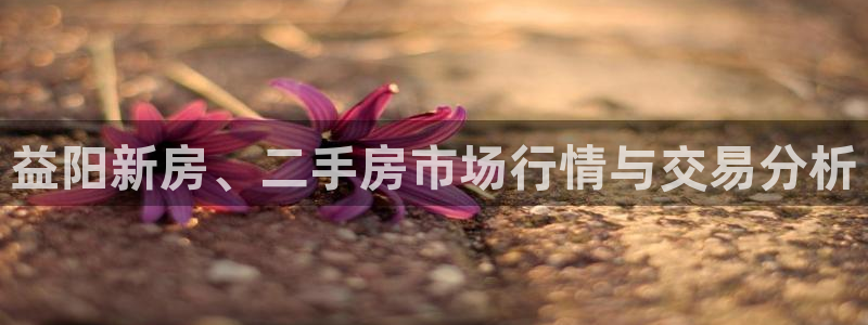 和记黄埔 官网：益阳新房、二手房市场行情与交易分析