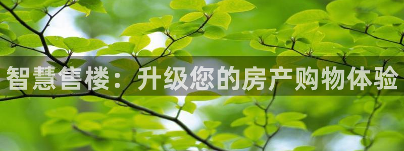 澳门3和记官网：智慧售楼：升级您的房产购物体验