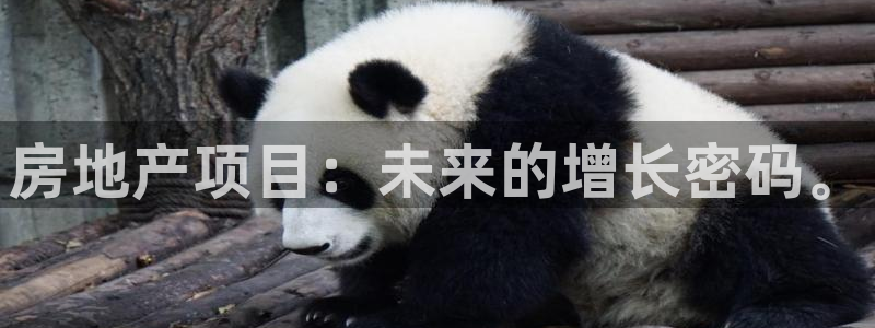 和记彩官网：房地产项目：未来的增长密码。