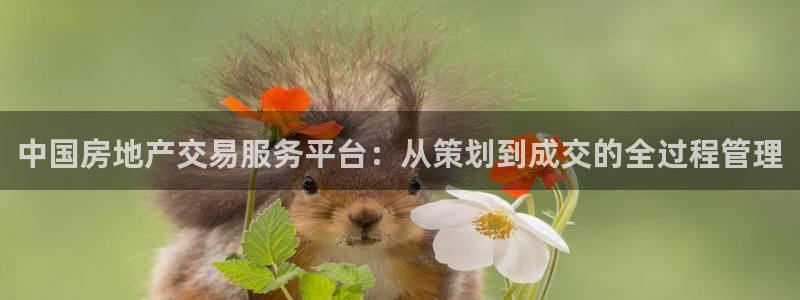 h88和记官网登录：中国房地产交易服务平台：从策划到成交的全