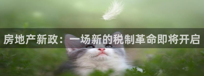 香港和记官网：房地产新政：一场新的税制革命即将开启