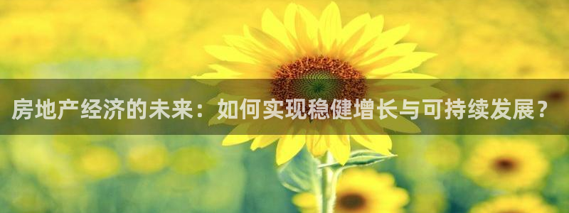 和记怡情博物官网：房地产经济的未来：如何实现稳健增长与可持续