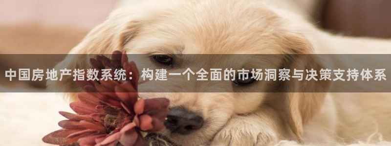 和记官网亚洲唯一官网：中国房地产指数系统：构建一个全面的市场
