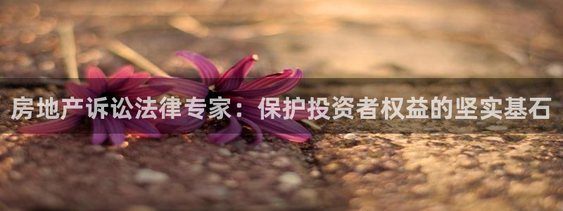 3和记电讯官网：房地产诉讼法律专家：保护投资者权益的坚实基石