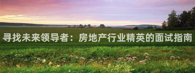 和记怡情博娱官网：寻找未来领导者：房地产行业精英的面试指南