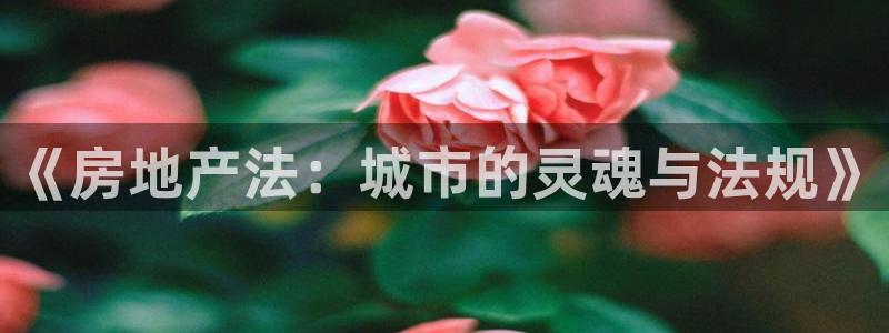 长江和记有限公司官网：《房地产法：城市的灵魂与法规》