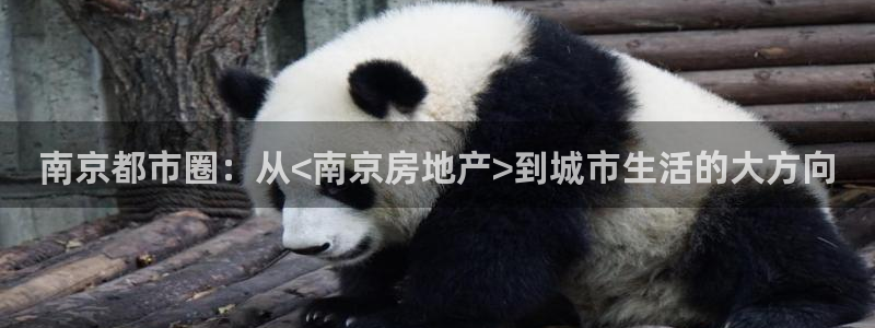 广州和记黄埔官网：南京都市圈：从<南京房地产>到城市生活的大