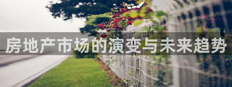 和记中国官网：房地产市场的演变与未来趋势