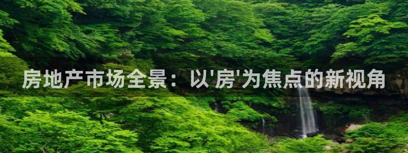 和记国际平台官网：房地产市场全景：以\'房\'为焦点的新视角