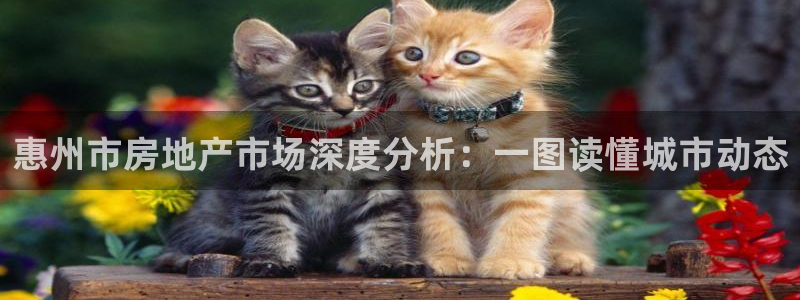 和记手机版官网：惠州市房地产市场深度分析：一图读懂城市动态