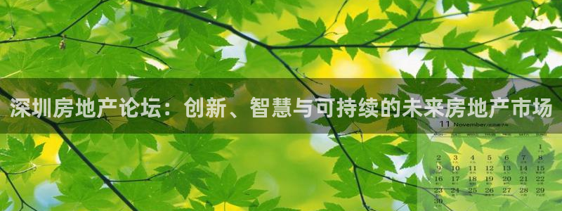 和记电讯 官网：深圳房地产论坛：创新、智慧与可持续的未来房地
