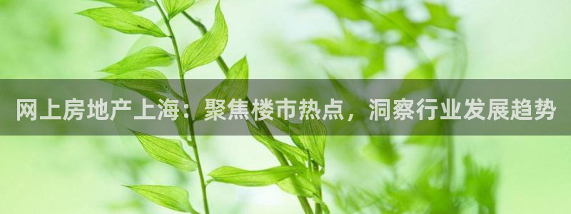 和帆记官网