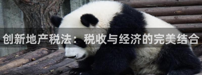 广州和记黄埔官网：创新地产税法：税收与经济的完美结合