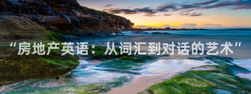 和记官网充值：“房地产英语：从词汇到对话的艺术”