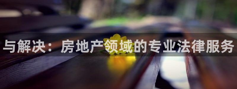 和记黄埔上海官网：与解决：房地产领域的专业法律服务