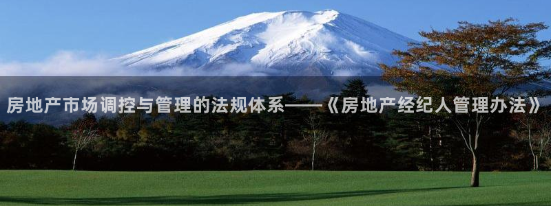 和记国际电讯官网：房地产市场调控与管理的法规体系——《房地产