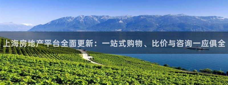 和记h1888怡情官网：上海房地产平台全面更新：一站式购物、