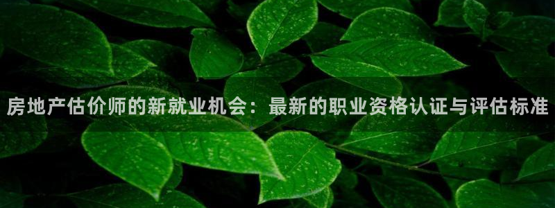 和记黄埔官网：房地产估价师的新就业机会：最新的职业资格认证与