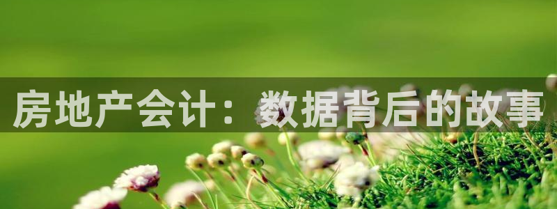 和记电游官网：房地产会计：数据背后的故事